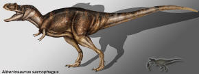 Albertosaurus