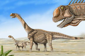 Camarasaurus herd