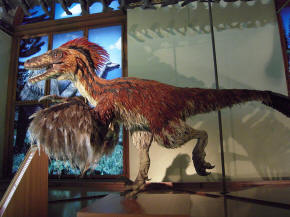 Deinonychus