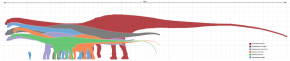 Diplodocus scale