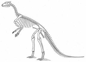 Hypsilophodon