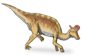 Lambeosaurus