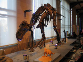 Maiasaura