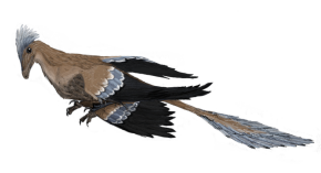 Microraptor