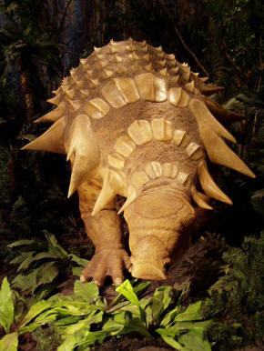 Nodosauridae - Edmontonia