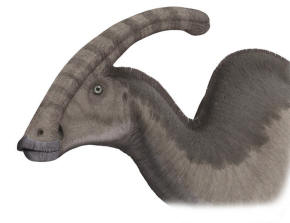 Parasaurolophus