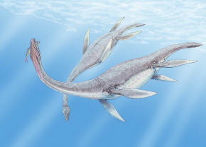 Plesiosaur