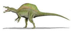 Spinosaurus