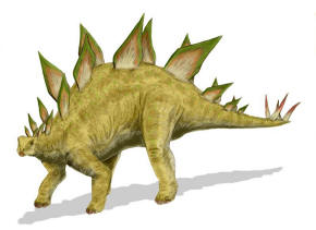 Stegosaurus