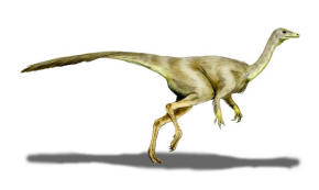 Struthiomimus