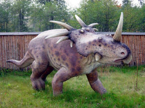 Styracosaurus