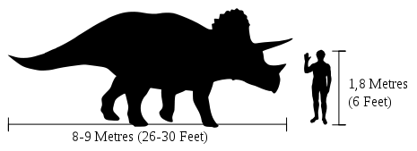 Triceratops scale