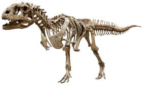 Majungasaurus