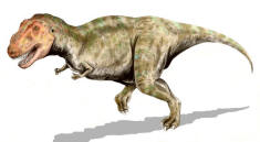 Tyrannosaurus