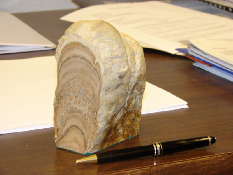 greenriverstromatolite6.jpg