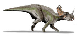 Centrosaurus